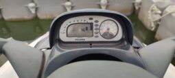 2000 Polaris Genesis