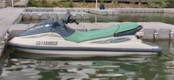 2000 Polaris Genesis
