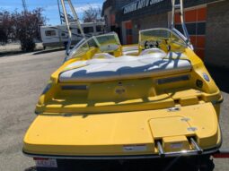 
										2008 CARAVELLE Intercepter full									