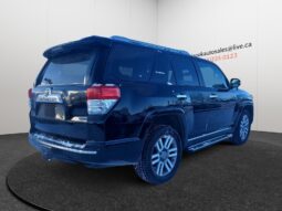 2010 Toyota 4Runner