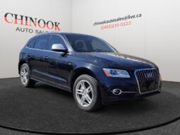 
										2016 Audi Q5 full									